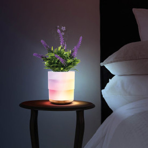 Lomi Lavender Plant Aroma Diffuser Wayfair